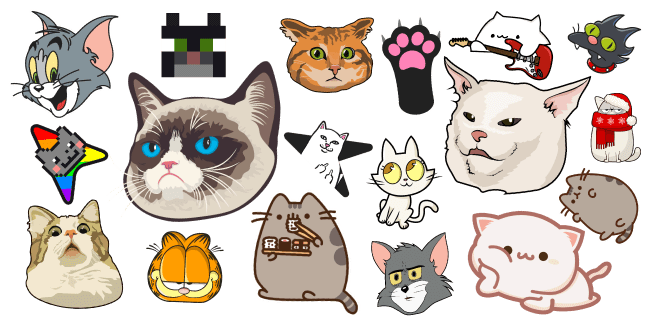 Choose a Cat Right Meow!